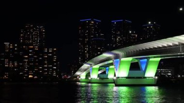 Toyosu, Japonya Tokyo Gece Manzarası 2025