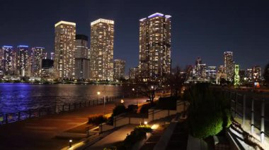 Toyosu, Japonya Tokyo Gece Manzarası 2025