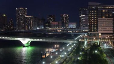 Toyosu, Japonya Tokyo Gece Manzarası 2025