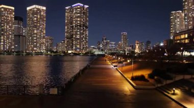 Toyosu, Japonya Tokyo Gece Manzarası 2025