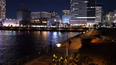 Toyosu, Japonya Tokyo Gece Manzarası 2025
