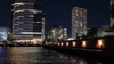Toyosu, Japonya Tokyo Gece Manzarası 2025