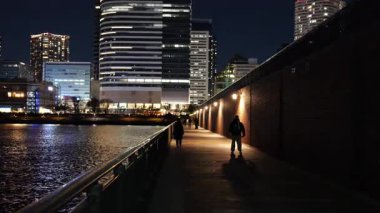 Toyosu, Japonya Tokyo Gece Manzarası 2025