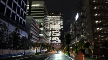 Toyosu, Japonya Tokyo Gece Manzarası 2025