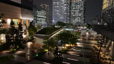 Toyosu, Japonya Tokyo Gece Manzarası 2025