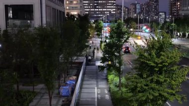 Toyosu, Japonya Tokyo Gece Manzarası 2025