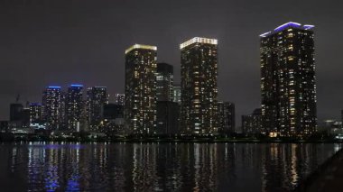 Toyosu, Japonya Tokyo Gece Manzarası 2025