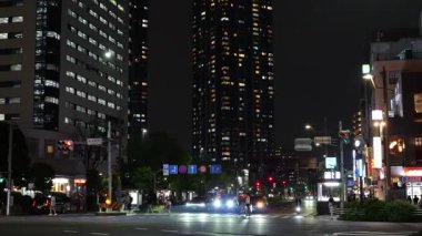 Toyosu, Japonya Tokyo Gece Manzarası 2025