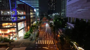 Toyosu, Japonya Tokyo Gece Manzarası 2025