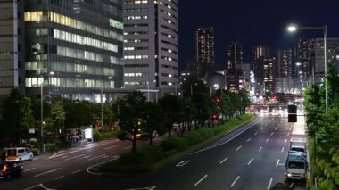 Toyosu, Japonya Tokyo Gece Manzarası 2025