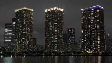 Toyosu, Japonya Tokyo Gece Manzarası 2025