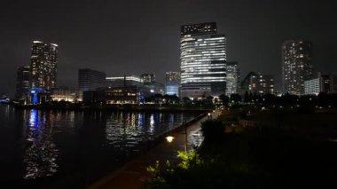 Toyosu, Japonya Tokyo Gece Manzarası 2025