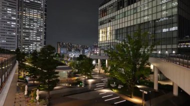 Toyosu, Japonya Tokyo Gece Manzarası 2025