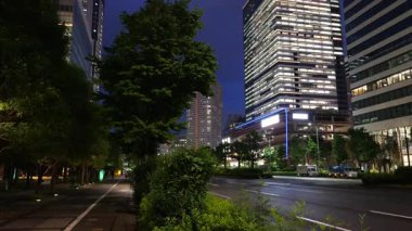 Toyosu, Japonya Tokyo Gece Manzarası 2025