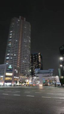 Toyosu, Japonya Tokyo Gece Manzarası 2025