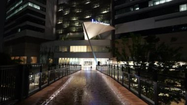 Toyosu, Japonya Tokyo Gece Manzarası 2025