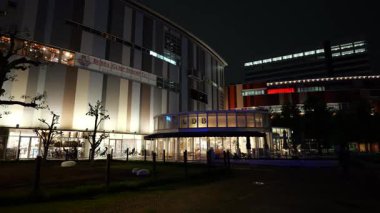 Toyosu, Japonya Tokyo Gece Manzarası 2025