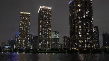 Toyosu, Japonya Tokyo Gece Manzarası 2025