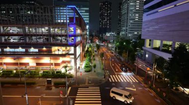 Toyosu, Japonya Tokyo Gece Manzarası 2025
