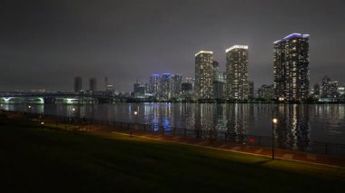 Toyosu, Japonya Tokyo Gece Manzarası 2025