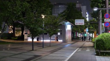 Toyosu, Japonya Tokyo Gece Manzarası 2025