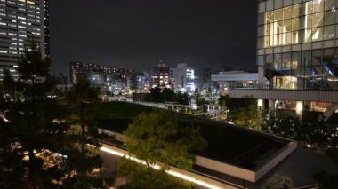 Toyosu, Japonya Tokyo Gece Manzarası 2025