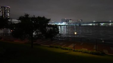 Toyosu, Japonya Tokyo Gece Manzarası 2025