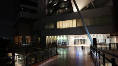 Toyosu, Japonya Tokyo Gece Manzarası 2025