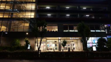 Toyosu, Japonya Tokyo Gece Manzarası 2025