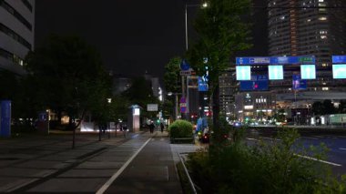 Toyosu, Japonya Tokyo Gece Manzarası 2025