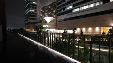 Toyosu, Japonya Tokyo Gece Manzarası 2025