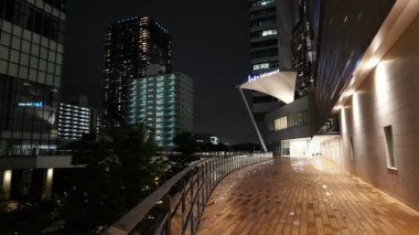 Toyosu, Japonya Tokyo Gece Manzarası 2025