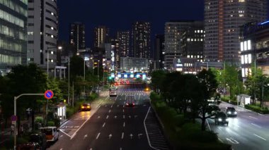 Toyosu, Japonya Tokyo Gece Manzarası 2025