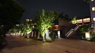 Toyosu Senkyaku Banrai, Japonya Tokyo Haziran 2025