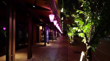 Toyosu Senkyaku Banrai, Japonya Tokyo Haziran 2025