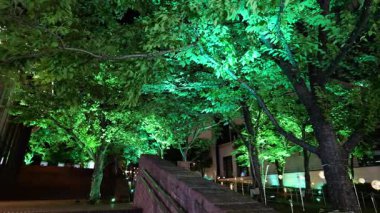 Akasaka Sacas gece görüşü, Japonya Tokyo Haziran 2025