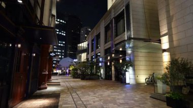 Akasaka Sacas gece görüşü, Japonya Tokyo Haziran 2025