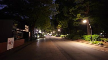 Ueno, Japonya Tokyo Gece Manzarası 2025