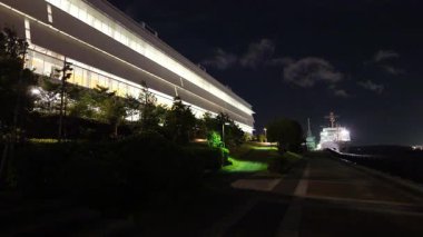 Tokyo Büyük Görüş Gece Manzarası Haziran 2025