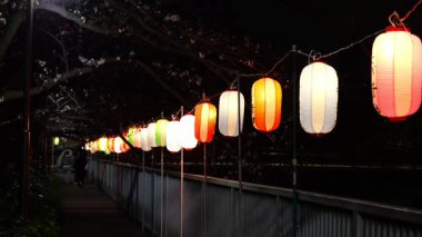 Oyoko Nehri Gece Çiçekleri, Japonya Tokyo 2025