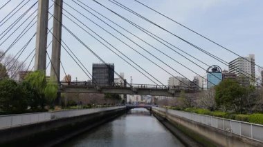 Kiba Park Kiraz Çiçeği, Japonya Tokyo 2025