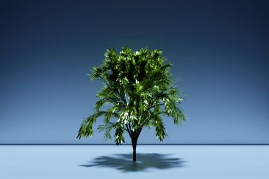 3d illustration of realistic green decorative tree isolated on  blue background. Stylized deciduous tree