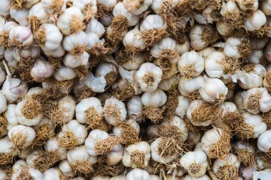  Dükkanda taze sarımsak yetişiyor. Lezzetli ve sağlıklı yemekler.