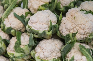 Bir grup yeşil yapraklı karnabahar..