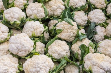 Bir grup yeşil yapraklı karnabahar..