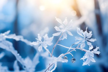 Soğuk mevsimde parlak güneşin altında donla kaplanmış Macro dalı, bulanık arka plan. İskeletin şeffaf yaprakları. Ai oluştur