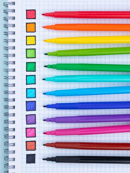 Wielokolorowy Zestaw Pisaków Końcówkami Filcowymi Kolorowymi Próbkami Notebooku — Zdjęcie stockowe