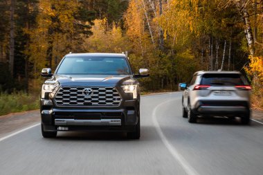 Novosibirsk, Rusya - Ekim 06, 2023: Gri Toyota Sequoia, sıcak bir günde bir ormanın arka planına karşı sokakta araba sürüyor.
