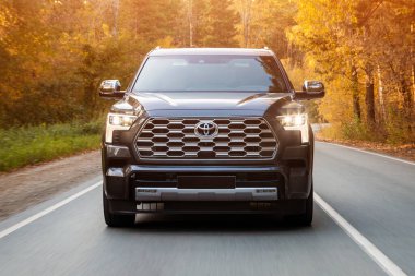 Novosibirsk, Rusya - Ekim 06, 2023: Gri Toyota Sequoia, sıcak bir günde bir ormanın arka planına karşı sokakta araba sürüyor.