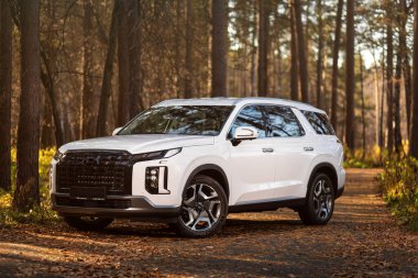 Novosibirsk, Rusya - 11 Eylül 2023: Hyundai Palisade SUV ormanda, ön manzara